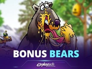 Bonus Bears game cover