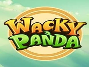 Wacky Panda game cover